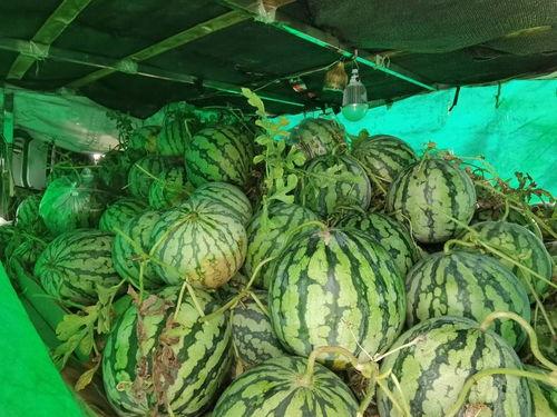 单位上吃瓜的,揭秘职场八卦背后的真相