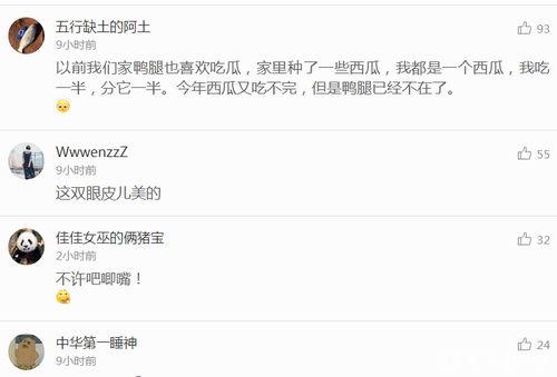吃瓜语音原声,揭秘网络热词背后的趣味与魅力