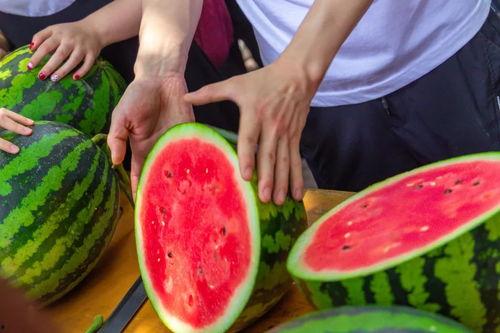 最新吃瓜事件学校,揭秘最新吃瓜事件背后的真相