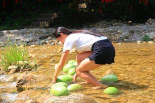 河南学生比赛吃瓜,瓜果飘香展食趣