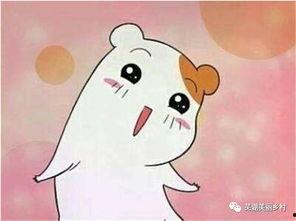 吃瓜群众专属福利